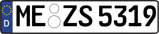 ME-ZS5319