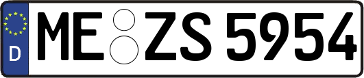 ME-ZS5954