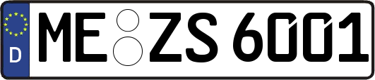 ME-ZS6001