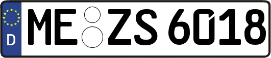 ME-ZS6018