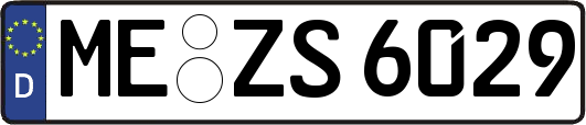 ME-ZS6029