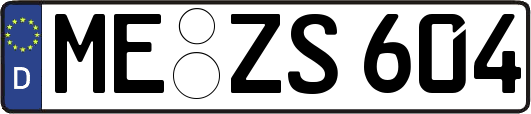 ME-ZS604