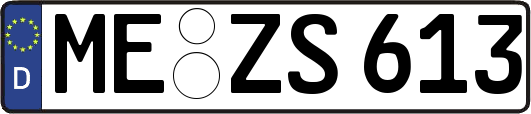 ME-ZS613