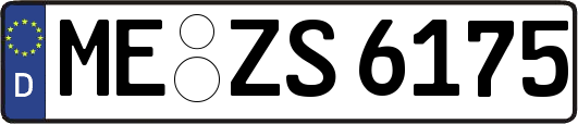 ME-ZS6175