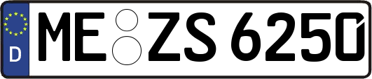 ME-ZS6250