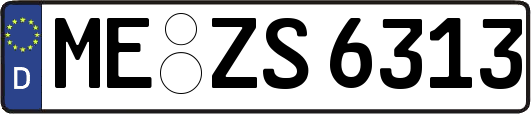 ME-ZS6313