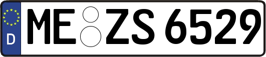 ME-ZS6529