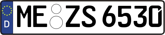 ME-ZS6530