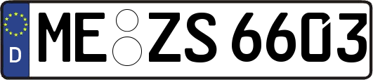 ME-ZS6603