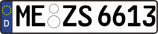 ME-ZS6613