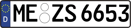 ME-ZS6653