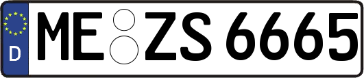 ME-ZS6665