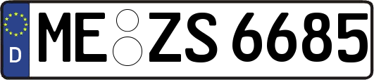 ME-ZS6685