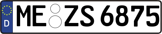 ME-ZS6875