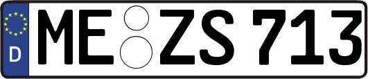 ME-ZS713