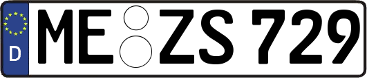 ME-ZS729