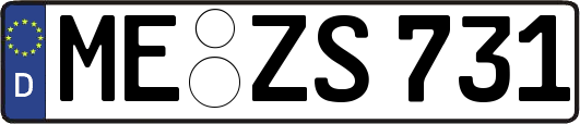 ME-ZS731