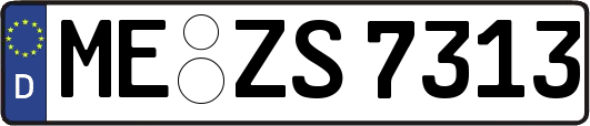 ME-ZS7313