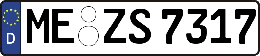 ME-ZS7317