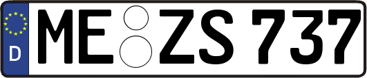 ME-ZS737