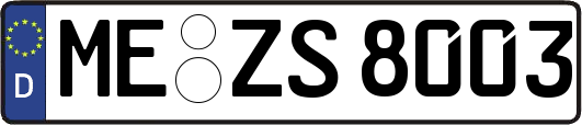 ME-ZS8003
