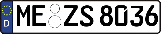 ME-ZS8036