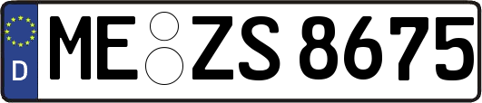 ME-ZS8675
