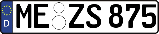 ME-ZS875