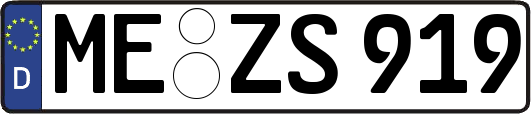 ME-ZS919