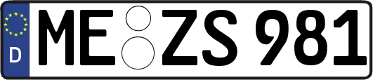 ME-ZS981