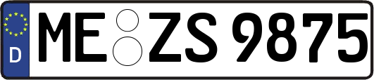 ME-ZS9875