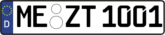 ME-ZT1001