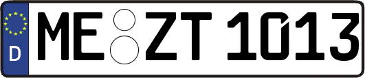 ME-ZT1013