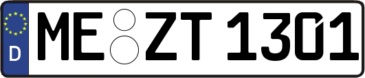 ME-ZT1301