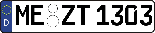 ME-ZT1303