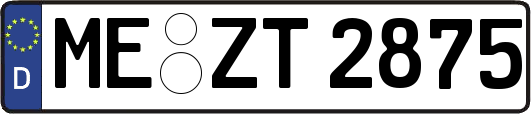 ME-ZT2875