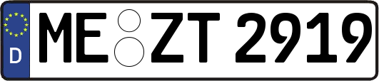 ME-ZT2919