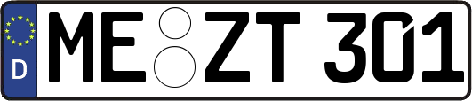 ME-ZT301