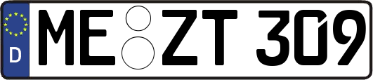 ME-ZT309