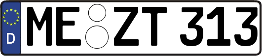 ME-ZT313