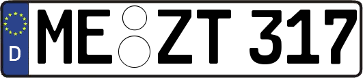 ME-ZT317