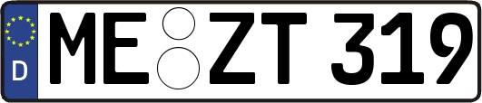 ME-ZT319