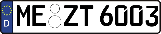ME-ZT6003