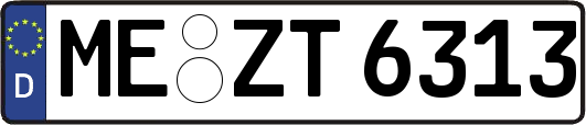 ME-ZT6313