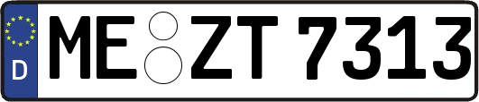 ME-ZT7313