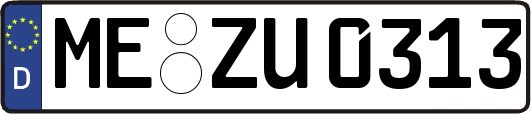 ME-ZU0313