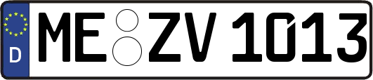 ME-ZV1013