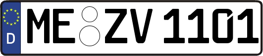 ME-ZV1101