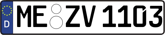 ME-ZV1103