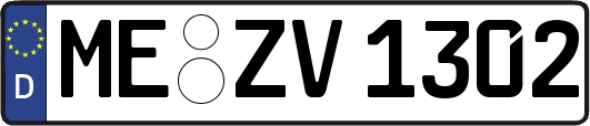 ME-ZV1302